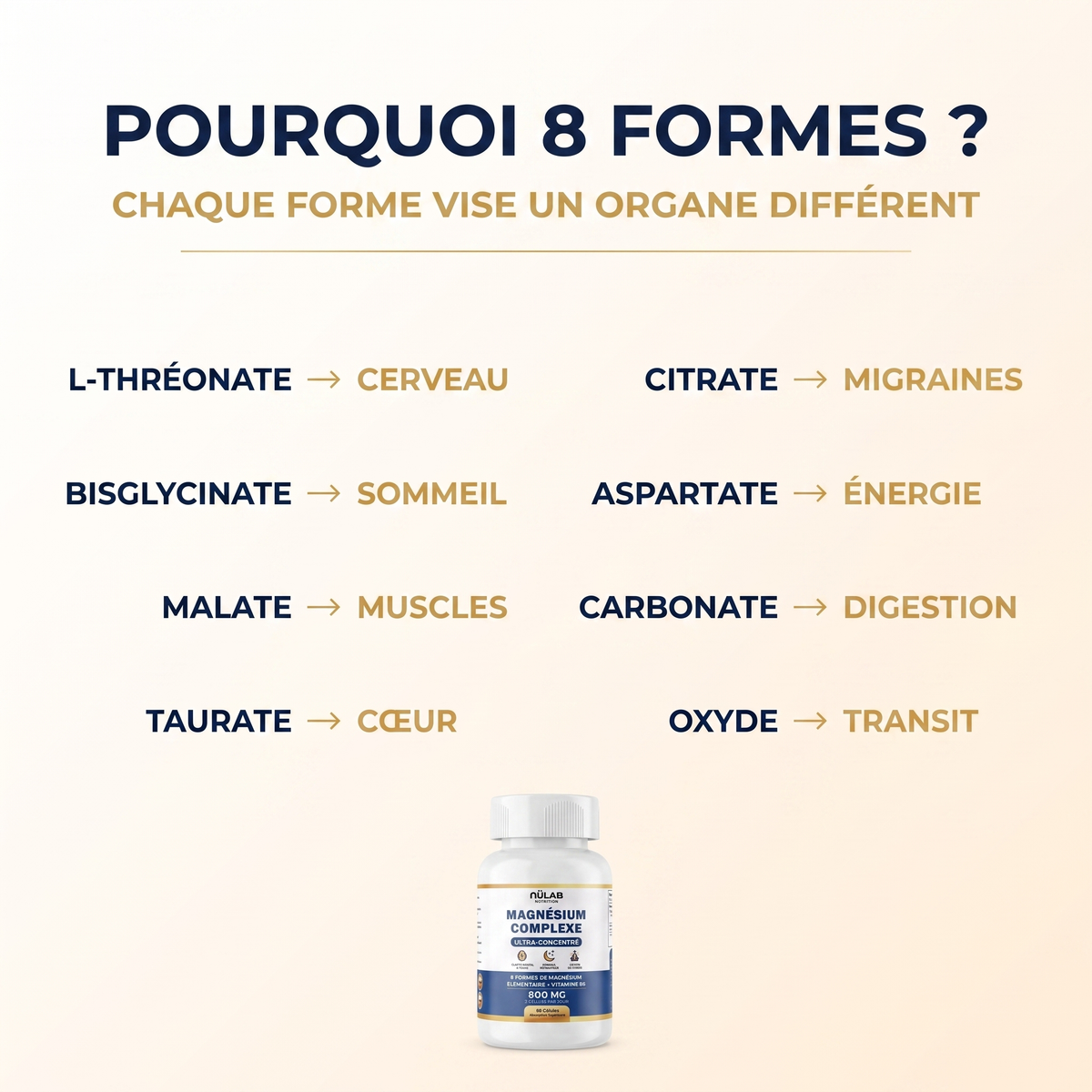 Magnésium Complexe 8 en 1 - Sommeil, Énergie & Sérénité